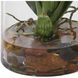 Dancing Orange and Green and Clear Orchid In Glass Vase
