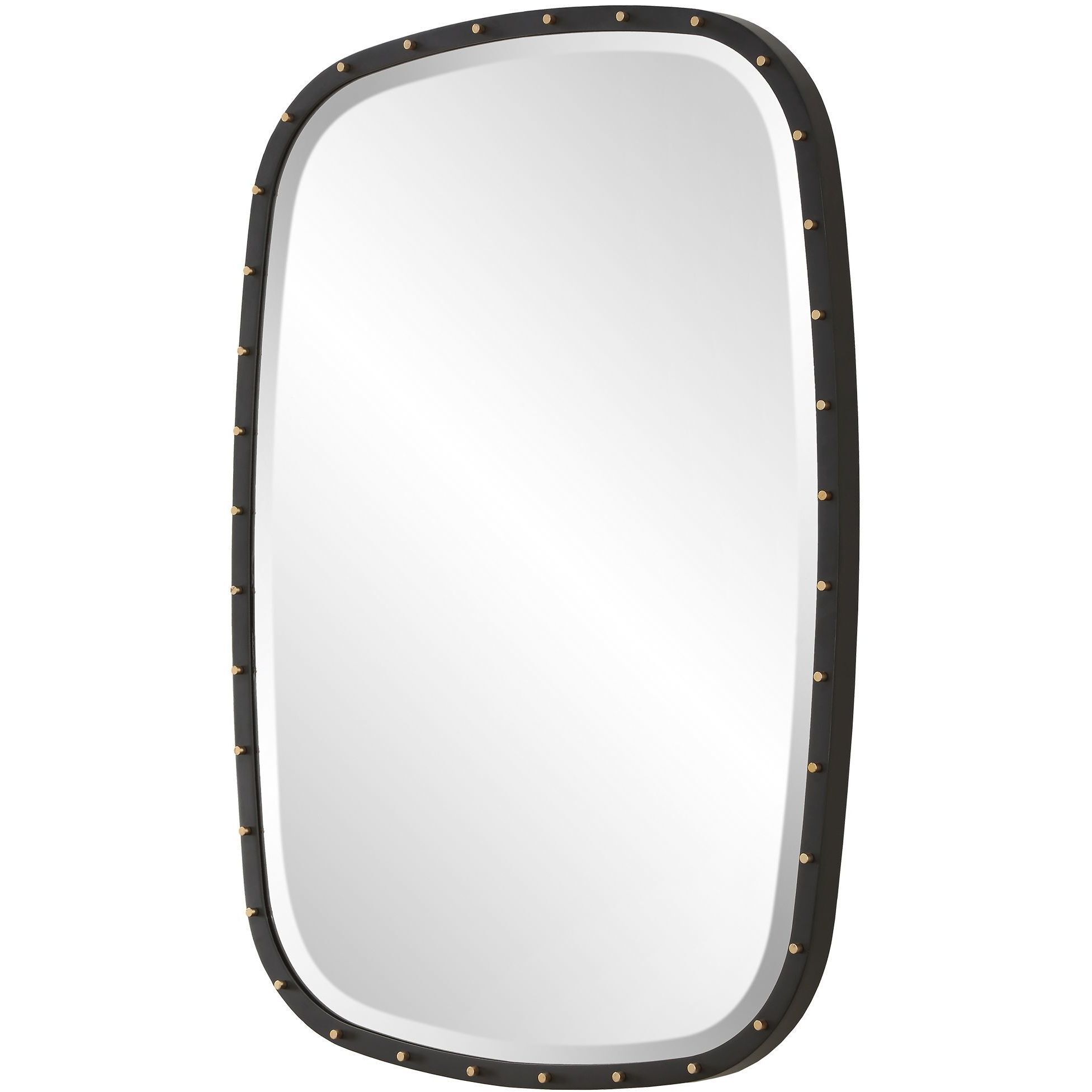 Benedo 36 X 26 inch Matte Black and Plated Brass Mirror