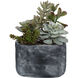 Alverio Charcoal Gray Concrete Succulents