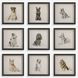 Loyal Companion 14 X 14 inch Framed Dog Prints, Set of 9