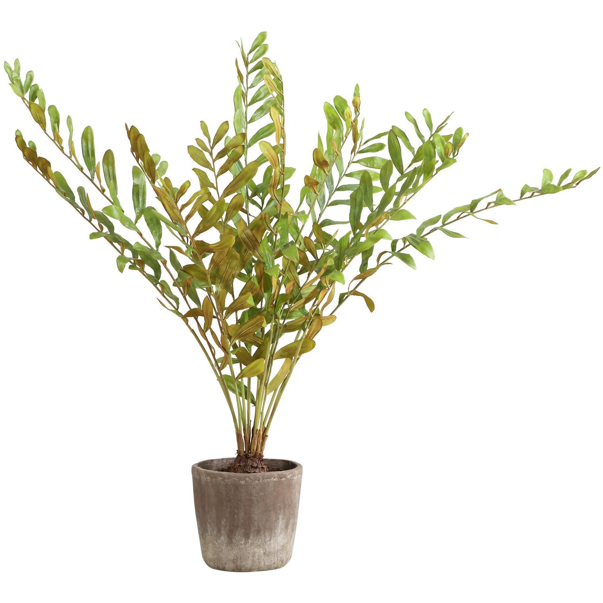 Zamia Green and Concrete Palm Acccent Planter