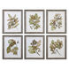 Seedlings 24 X 20 inch Art Prints