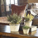 La Costa Greenery Aged Ivory Botanical