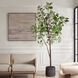 Eden Green and Black Potted Fig Tree