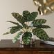 Peacock Green and Clear Plant Accent