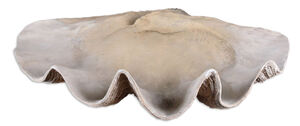 Clam 23 X 7 inch Shell Bowl