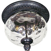 Outdoor Ceiling Lights