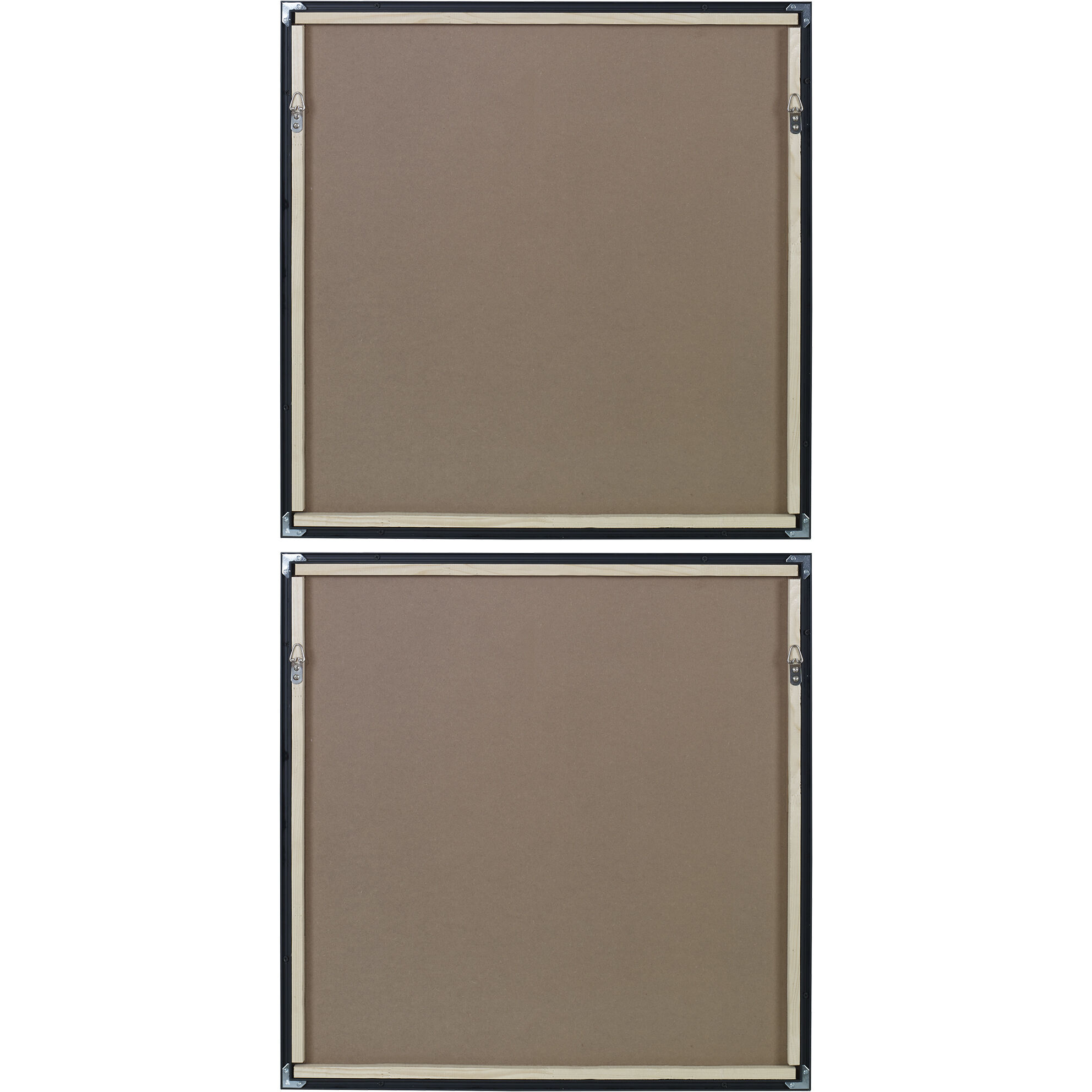 Vivacious 30 X 30 inch Framed Prints, Set of 2