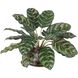Peacock Green and Clear Plant Accent