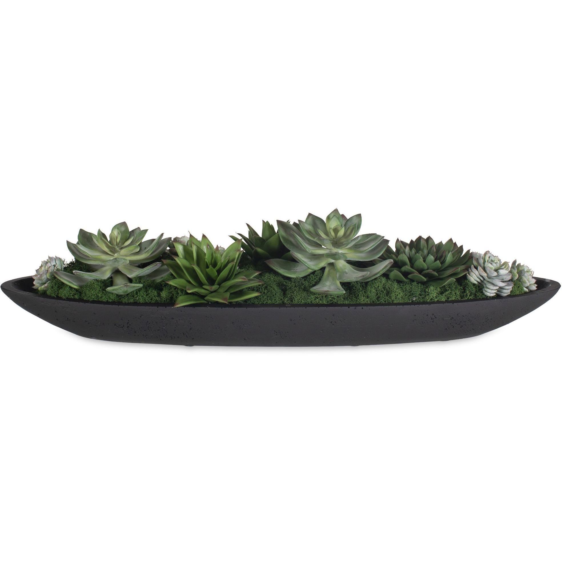 Verde Succulent Black and Green Centerpiece In Bowl