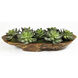 Yuma Natural Teak Wood Succulent Centerpiece