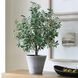 Marisol Stone Gray and Green Potted Olive Plant