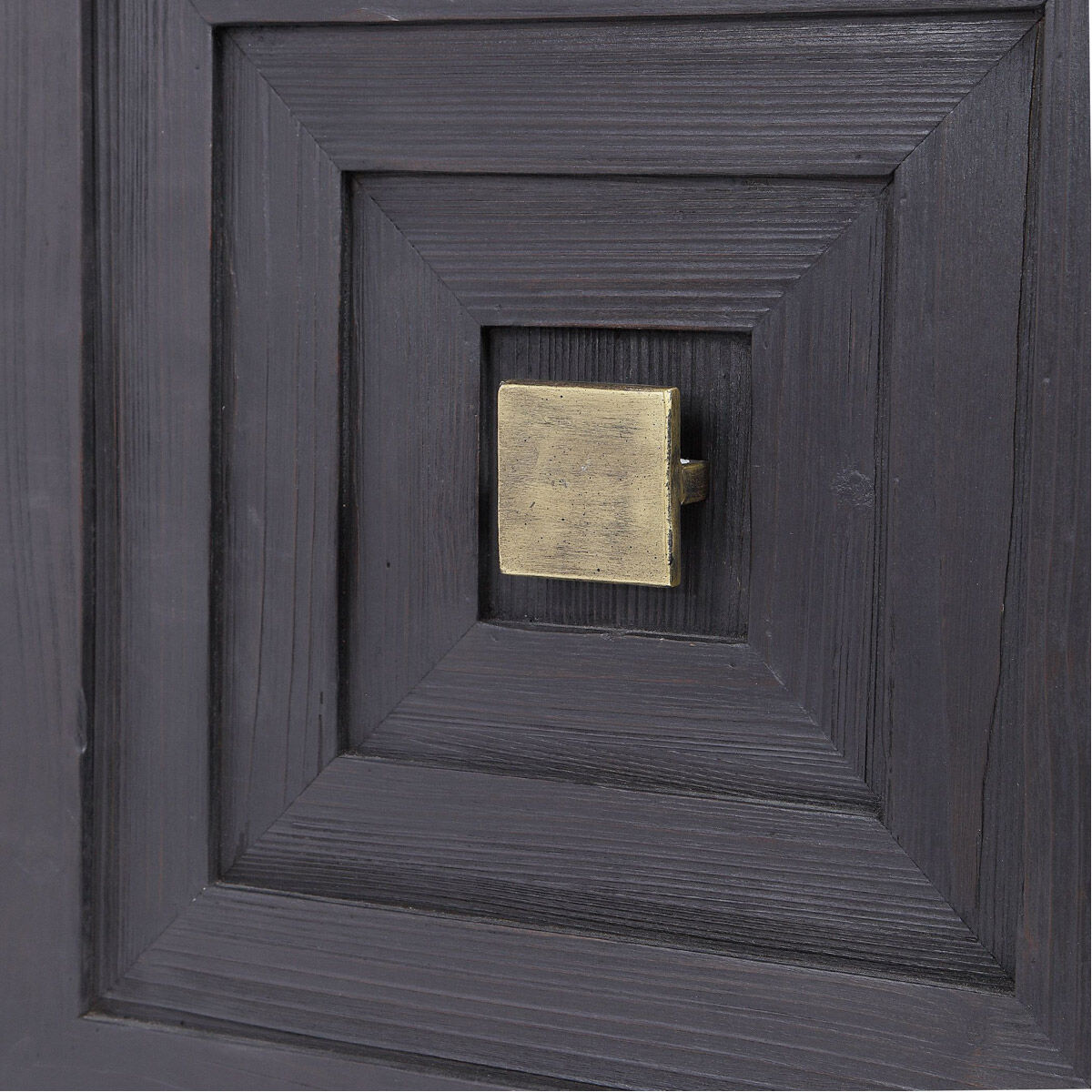 Aiken Dark Ebony and Brushed Brass 2 Door Cabinet