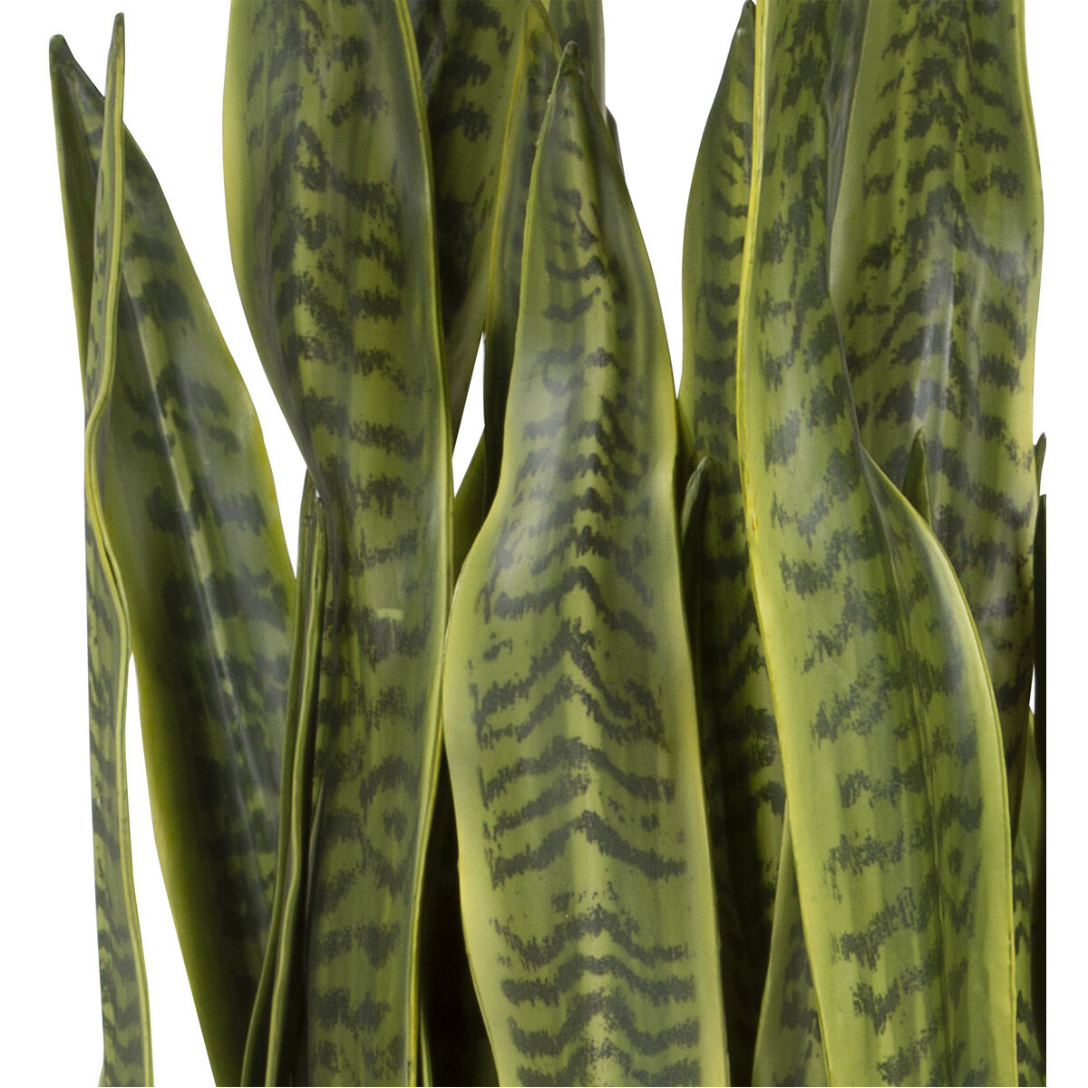 Fasita Antique Brass and Matte Black Planter