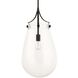 Dewdrop 1 Light 13.5 inch Matte Black Pendant Ceiling Light