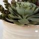 Mesa Succulent Green with Textured Tan Glaze Succulent Accent