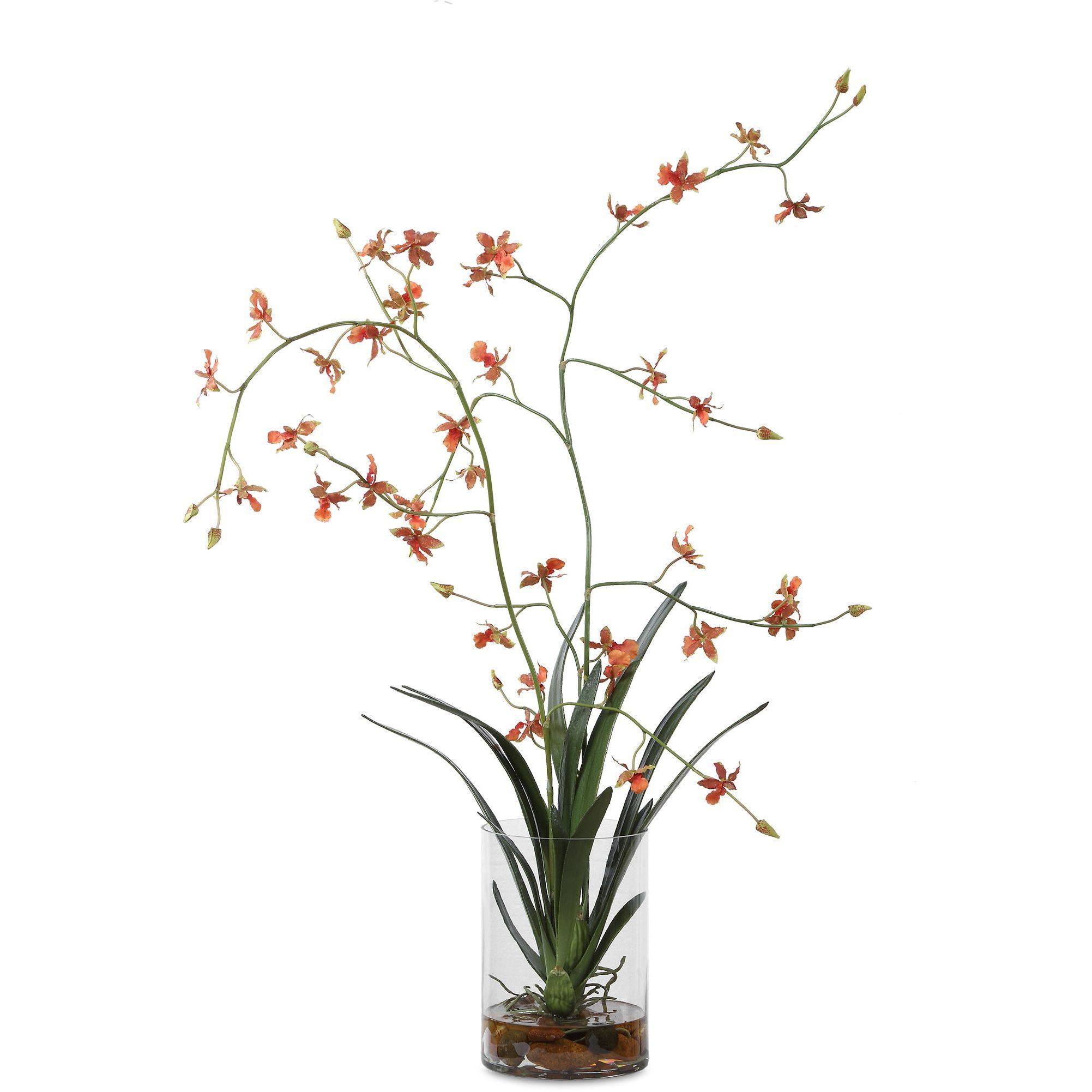 Dancing Orange and Green and Clear Orchid In Glass Vase