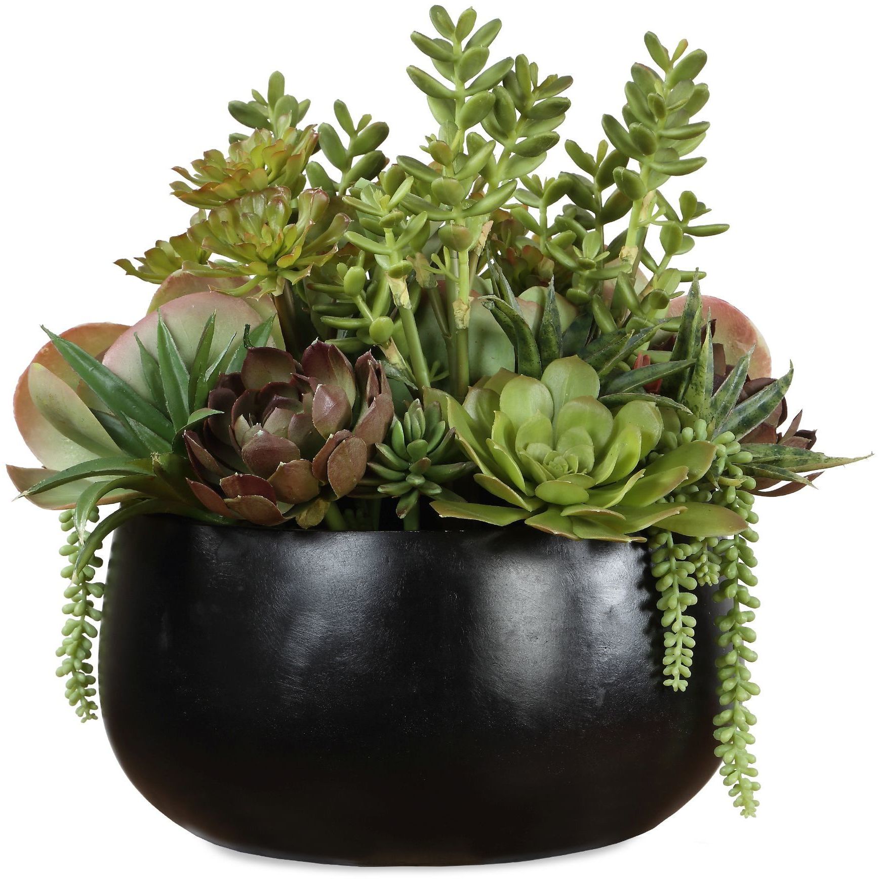 Mico Green and Burgundy and Matte Black Indoor-Outdoor Succulent Centerpiece