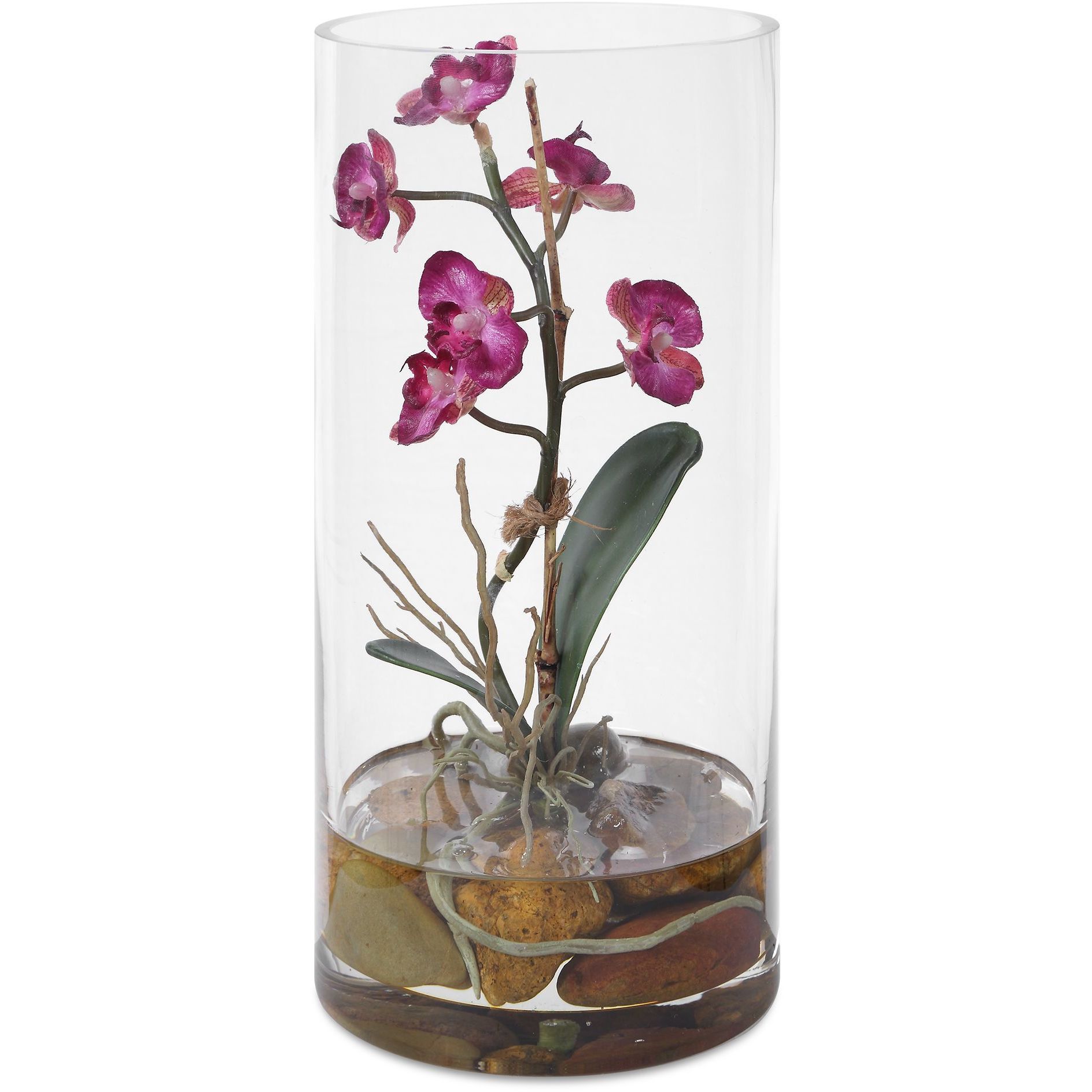 Mariposa Purple and Green and Clear Orchid