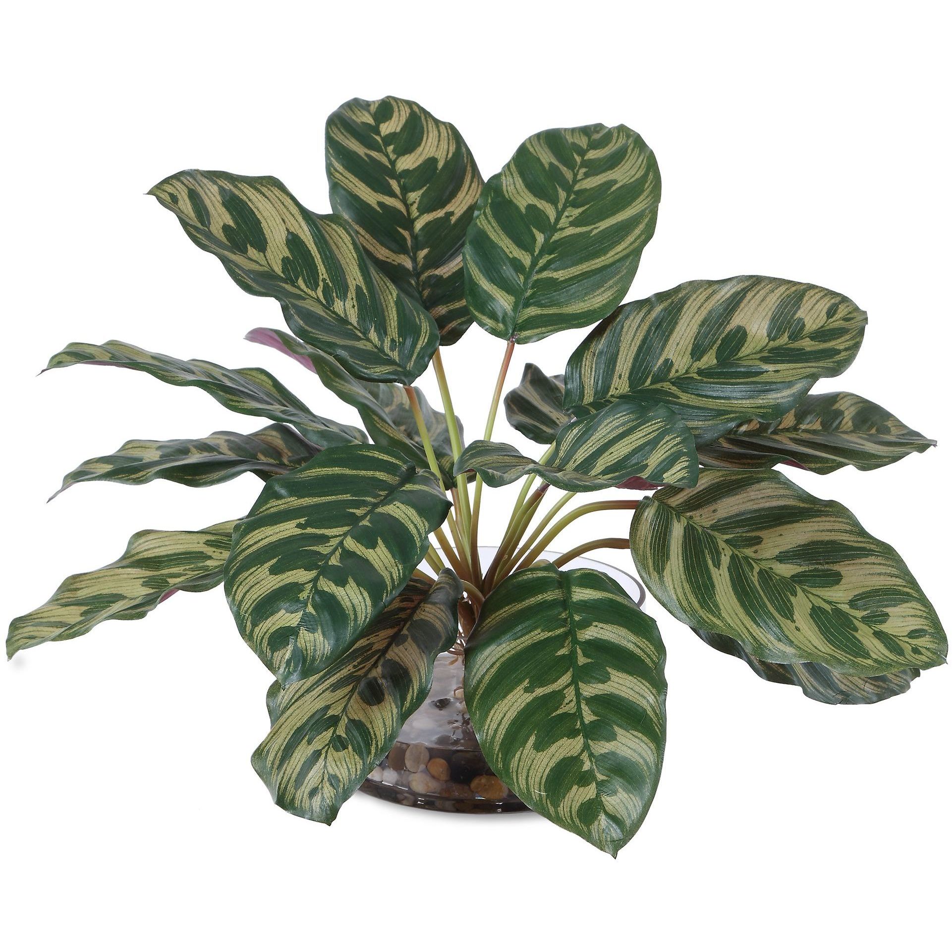 Peacock Green and Clear Plant Accent