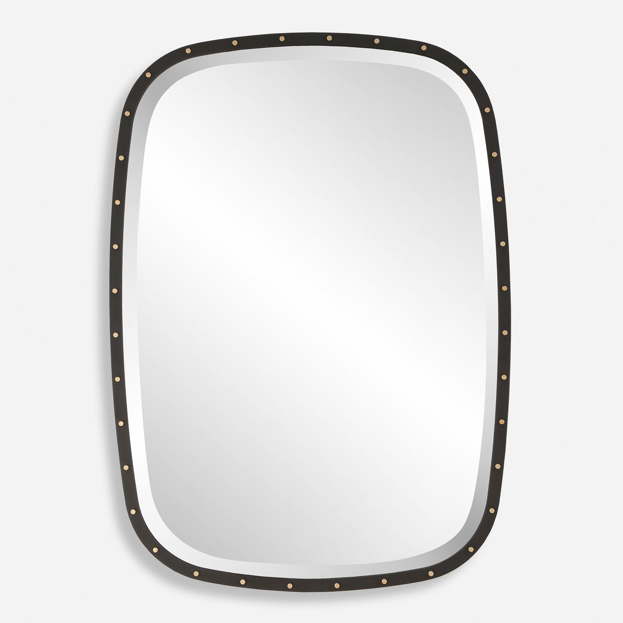 Benedo 36 X 26 inch Matte Black and Plated Brass Mirror